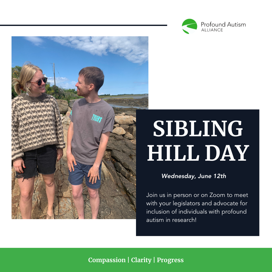 Sibling Hill Day  Logo